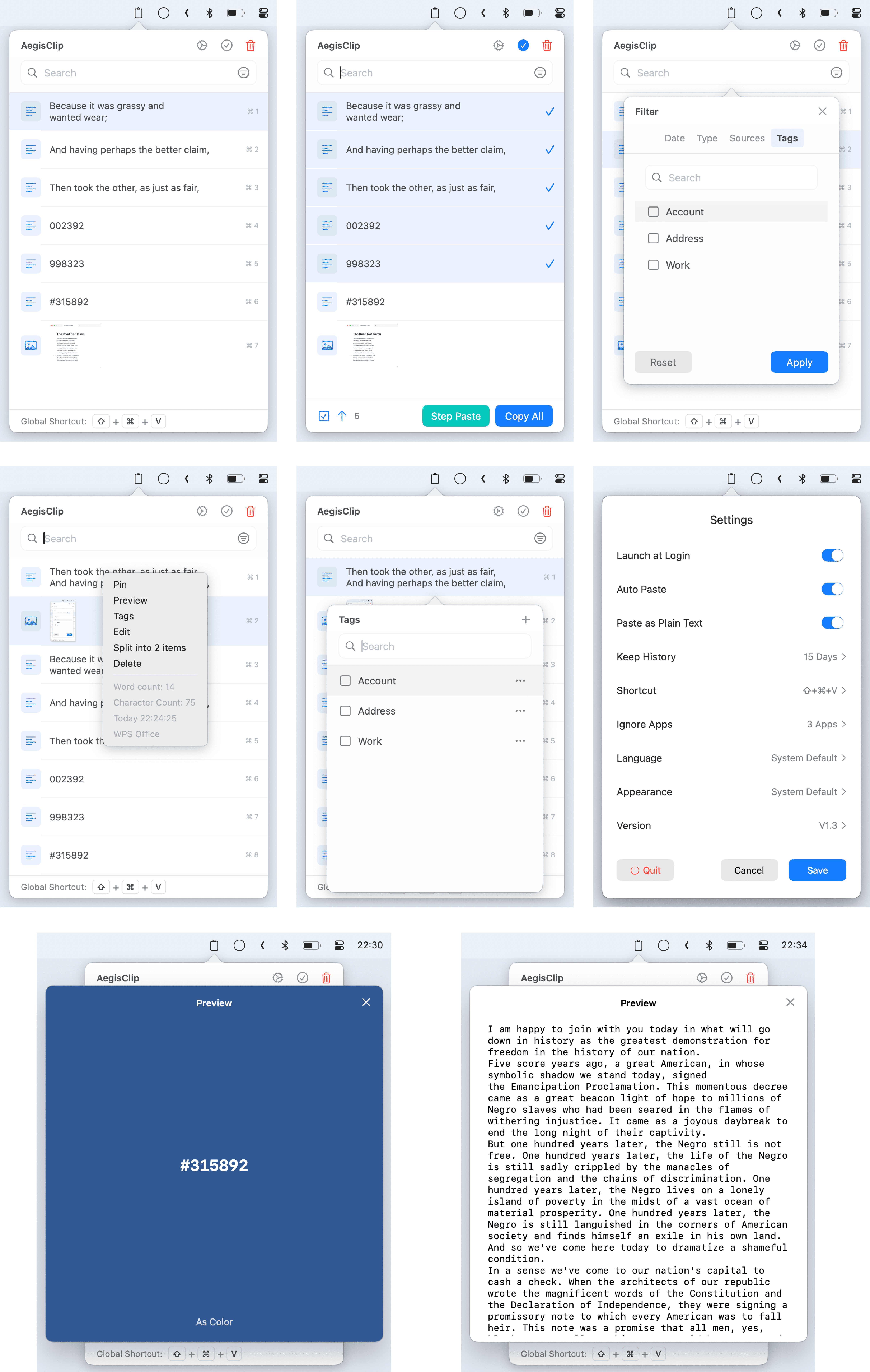 AegisClip V1.3 图示